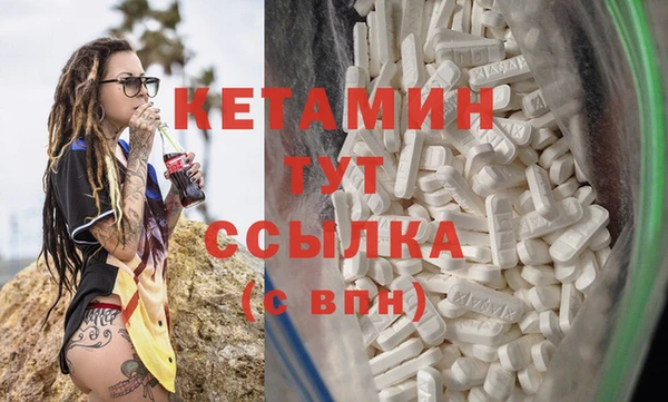 гидра Новозыбков