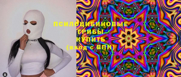 спиды Няндома