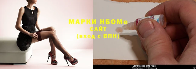 гидра Новозыбков