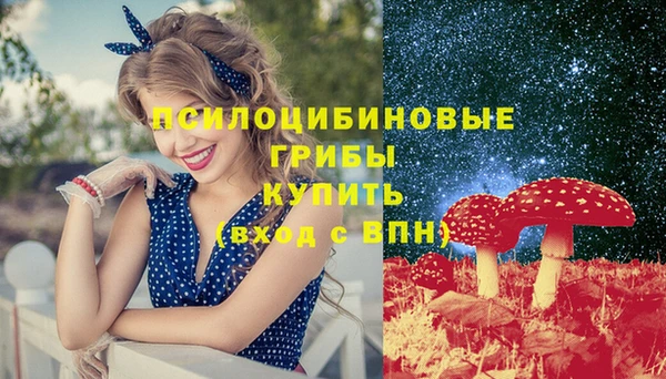 бошки Новокубанск