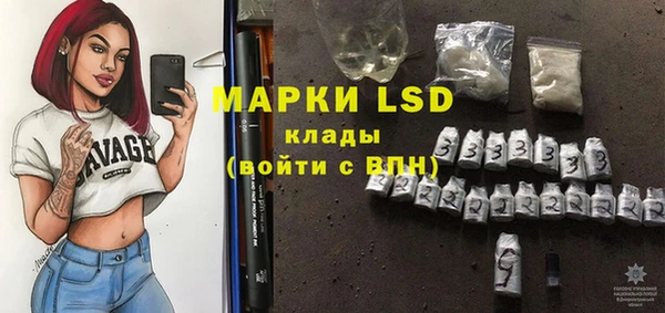 гидра Новозыбков