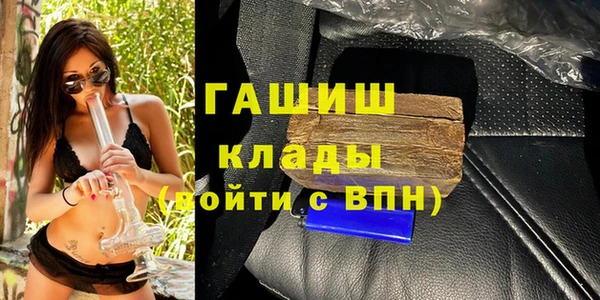 гидра Новозыбков